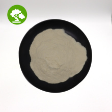 Water Soluble Organic Rice Protein Peptide Powder
